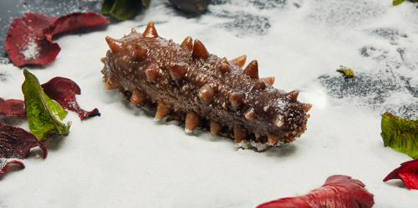 怎樣快速的區(qū)分淡干海參、鹽干海參和凍干海參？