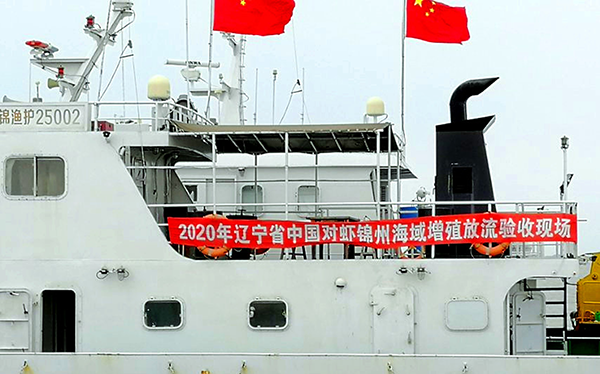 達(dá)蓮公司完成了2020年度省中國對蝦增殖放流任務(wù)